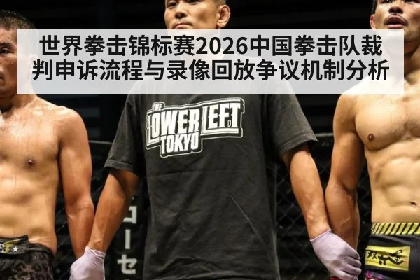 世界拳击锦标赛2026中国拳击队裁判申诉流程与录像回放争议机制分析